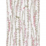 All Wrapped Up | Notecards | Botanicals by Edith Rewa | Set of 16 All Wrapped Up | Notecards | Botanicals by Edith Rewa | Set of 16